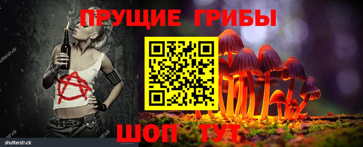 Малоярославец  магазин    Вход с VPN  Псилоцибиновые грибы Psilocybine cubensis 